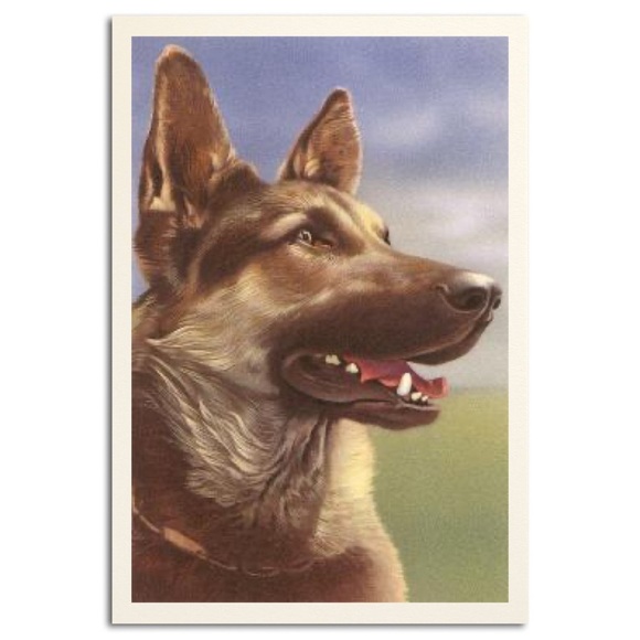 Alfred Mainzer German Shepherd Dog Squeaking Postcard - Picture 3 of 9